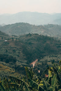 High angle view of townscape