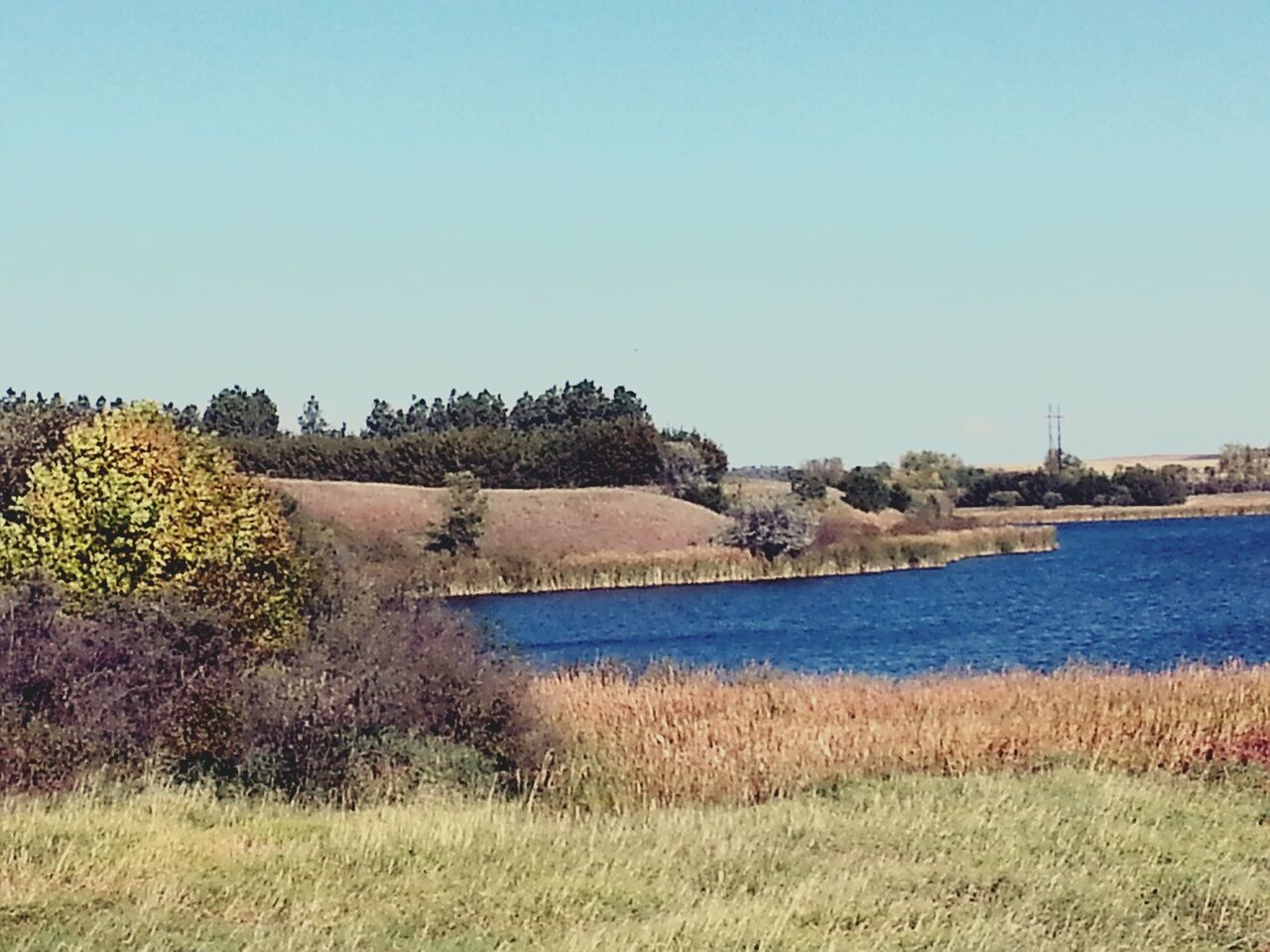 clear sky, copy space, blue, tranquil scene, tranquility, scenics, beauty in nature, landscape, water, grass, nature, plant, built structure, day, field, idyllic, growth, outdoors, no people, building exterior