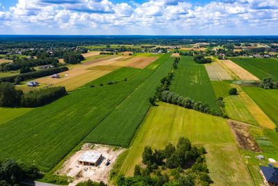 High angle view of agricultural field