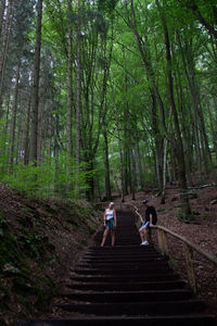 People on staircase in forest