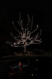 Firework display at night