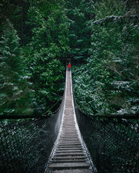 Man walking on rope bridge amidst trees in forest