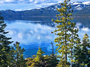 Scenic view of lake in forest against sky