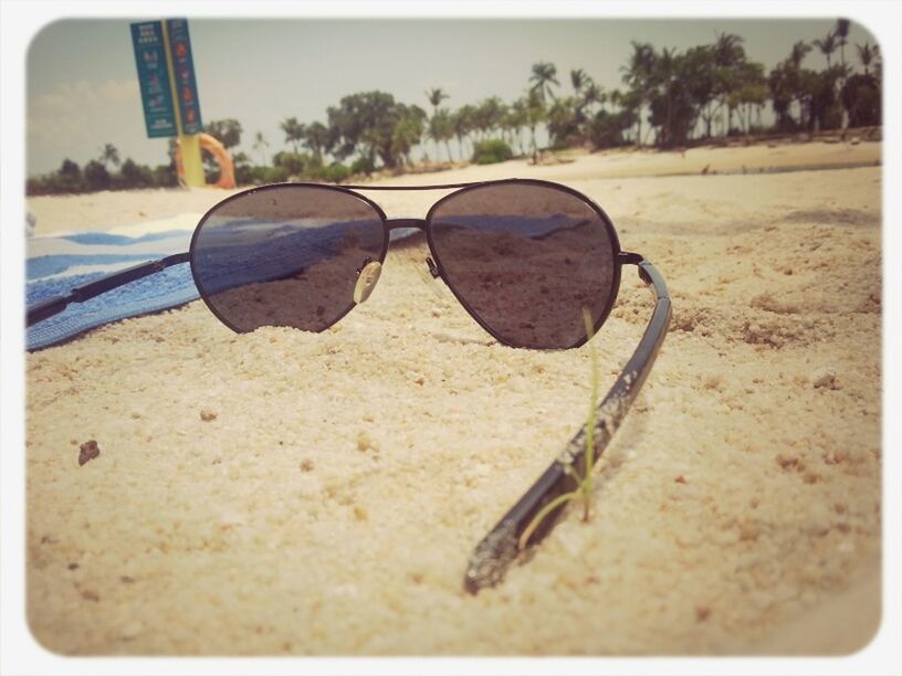 transfer print, auto post production filter, sand, beach, absence, sunlight, day, transportation, empty, outdoors, surface level, field, no people, shadow, close-up, sky, nature, selective focus, tree, tranquility