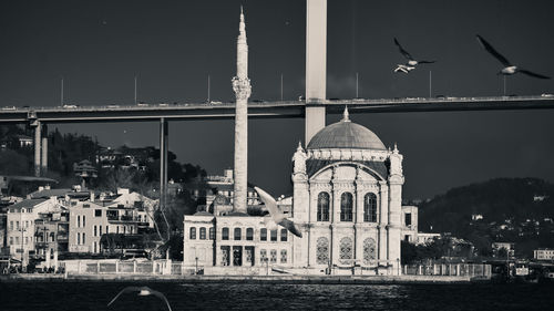 View of birds and buildings against sky in city