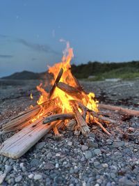 Close-up of dry leaf