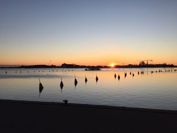 Silhouette birds on beach against clear sky during sunset