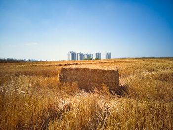 Scenic view of field against clear sky