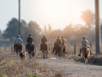 Rear view of people riding horse on field against sky