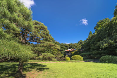 Taiwan pavilion kyu-goryo-tei overlooking the upper pond of shinjuku gyoen park.