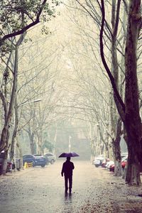 Rear view of people walking on road