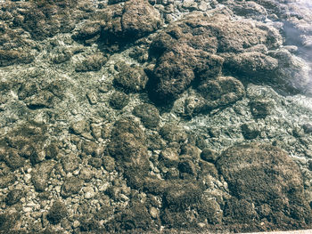 Full frame shot of rocks on land