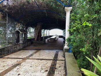 Empty walkway amidst trees and plants in old building