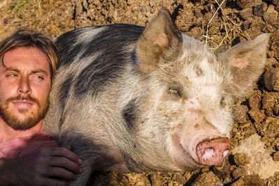 Close-up of man with pig on land