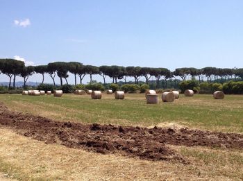 Hay bales on field against blue sky