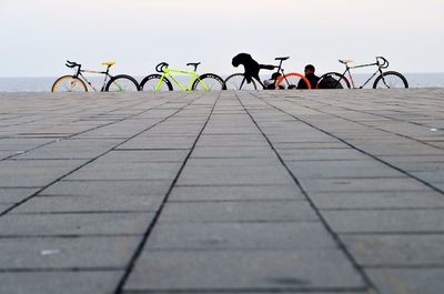 People on bicycle against sky