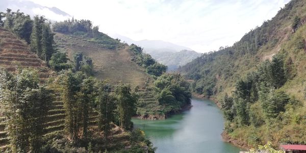 Scenic view of river amidst trees against sky