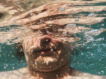 High angle portrait of man swimming in pool