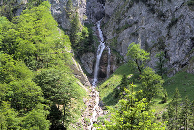 Scenic view of waterfall in forest