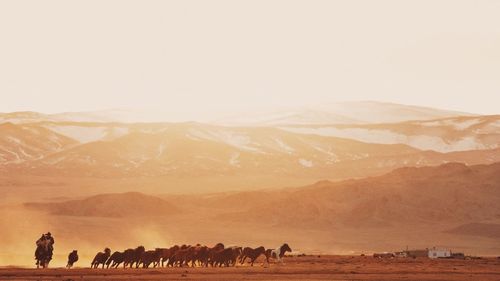 Scenic view of desert against clear sky