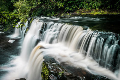 Scenic view of waterfall in forest