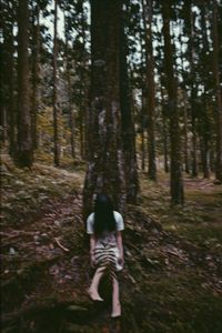 Rear view of boy walking in forest