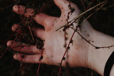 Close-up of woman with plant
