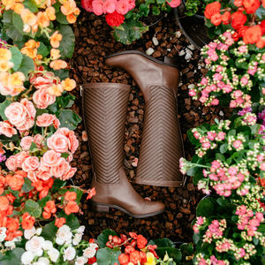 High angle view of pink rose flower pot