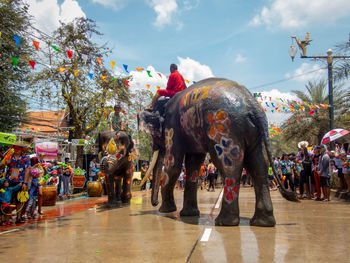 Elephants play in the water during songkran festival.  ayutthaya, thailand
