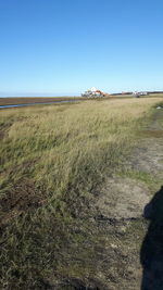 Scenic view of field against clear sky