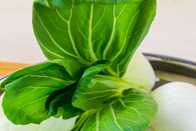 Close-up of green leaves on table