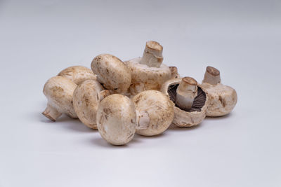 Close-up of mushrooms against white background