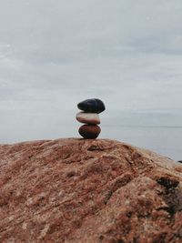 Turtle on rock by sea against sky
