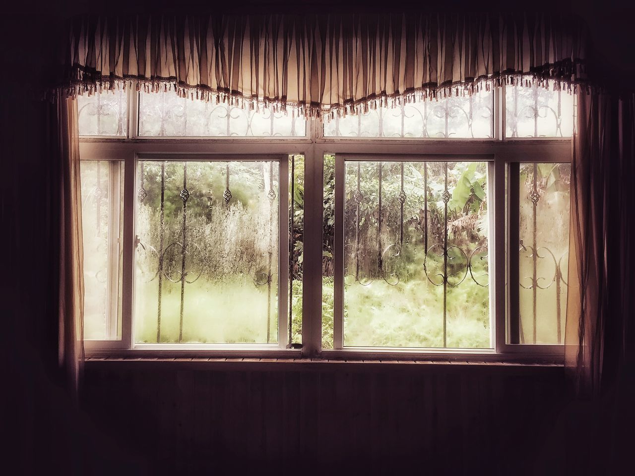 window, indoors, glass - material, transparent, tree, house, curtain, looking through window, glass, growth, window frame, day, home interior, closed, no people, open, field, nature, window sill, green color