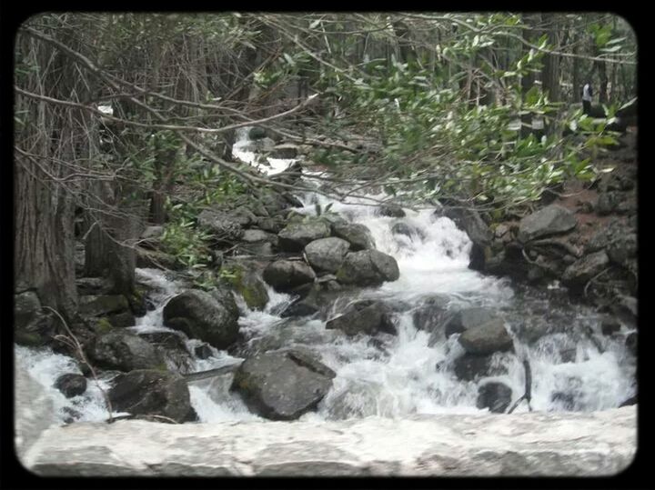 transfer print, water, forest, auto post production filter, stream, rock - object, nature, tree, flowing water, beauty in nature, tranquility, scenics, motion, flowing, tranquil scene, river, plant, day, outdoors, rock