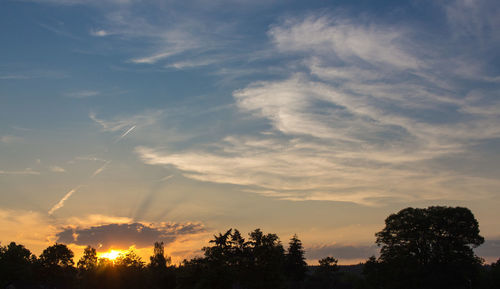 Silhouette trees against sky during sunset