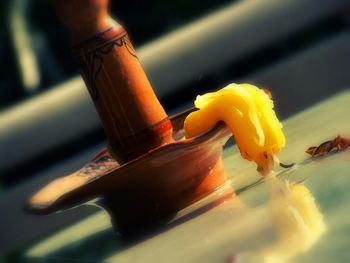 Close-up of yellow flower