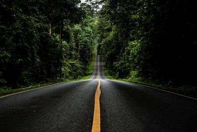 Road amidst trees in forest