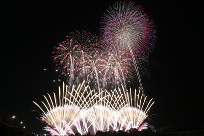 Low angle view of firework display at night