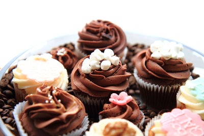 Close-up of chocolate cake