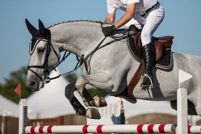 Low section of person riding horse