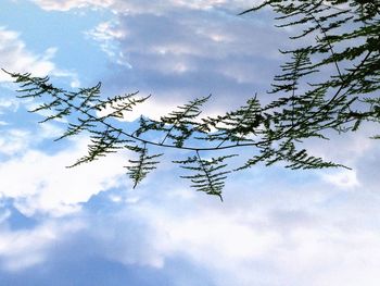 Low angle view of trees against cloudy sky