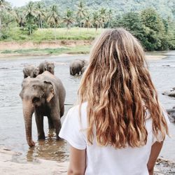 Rear view of young woman looking at elephants at lakeshore