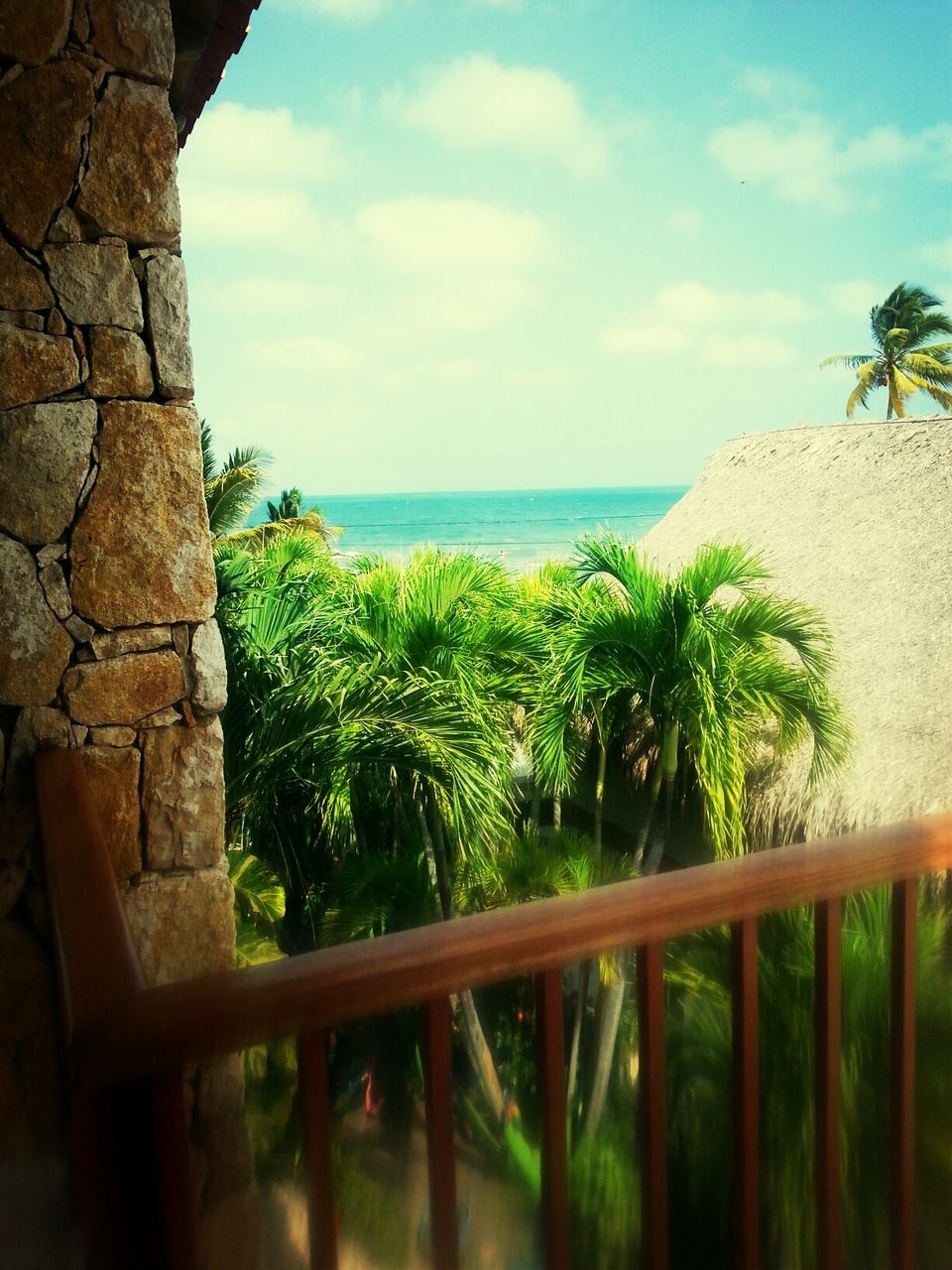 sea, horizon over water, sky, palm tree, tree, water, tranquility, tranquil scene, beach, nature, scenics, beauty in nature, growth, railing, plant, cloud - sky, green color, cloud, idyllic, day