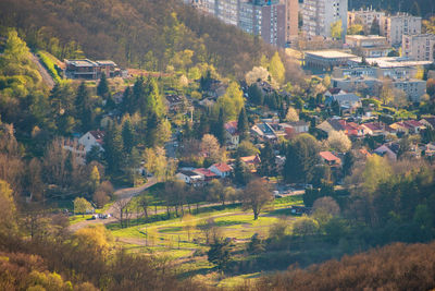 High angle view of townscape by trees in city