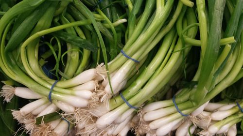 Full frame shot of spring onions