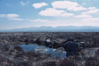 Scenic view of landscape against sky