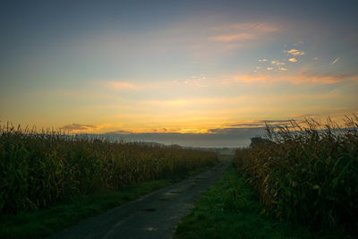 Scenic view of agricultural field against sky during sunset