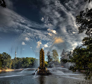 Scenic view of wet trees against sky