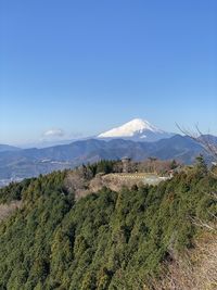 Scenic view of landscape against clear sky